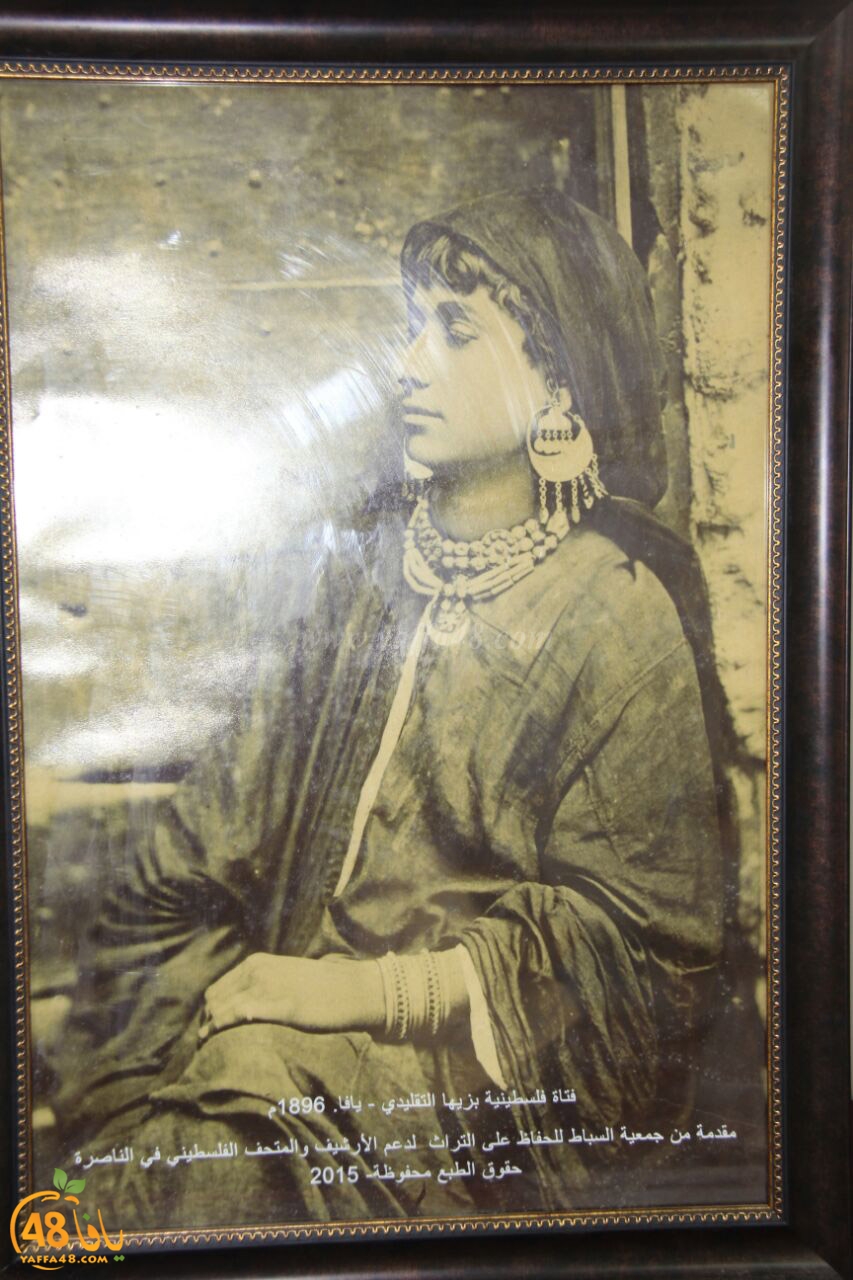 mahrajan jmaehery uwq (18).jpg